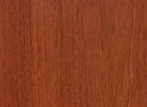 Jatobá América do Sul