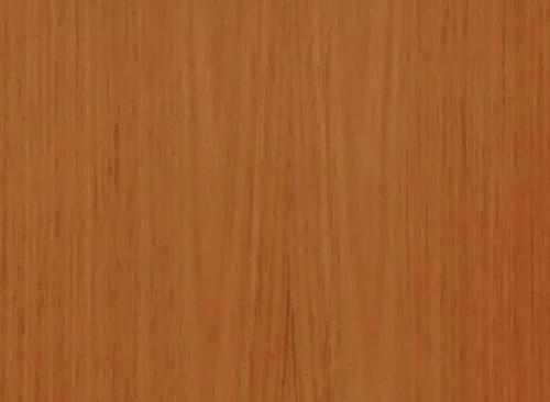 Tauari América do Sul